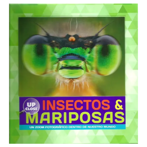 Insectos y mariposas- Un zoom fotográfico