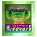 Insectos y mariposas- Un zoom fotográfico
