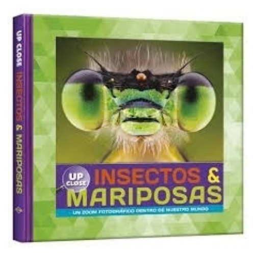 Insectos y mariposas- Un zoom fotográfico