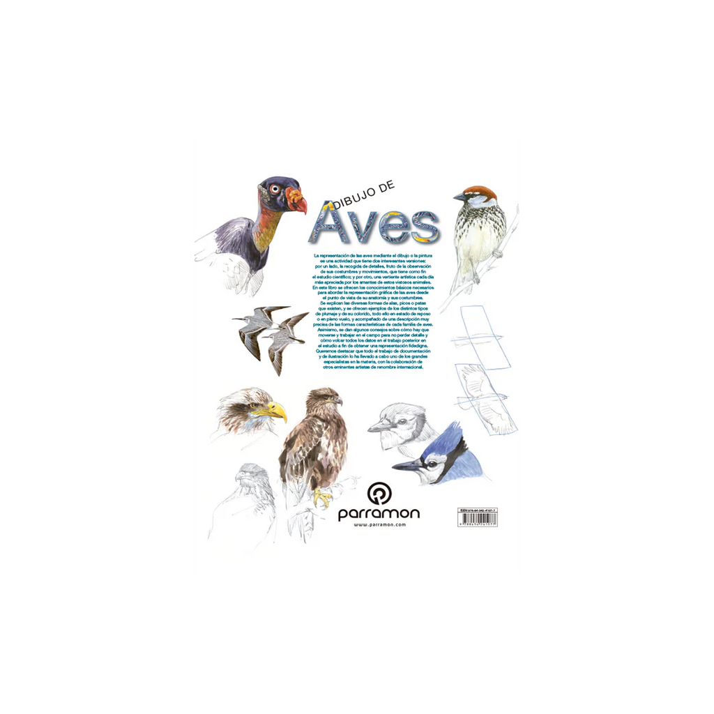 Dibujo de Aves