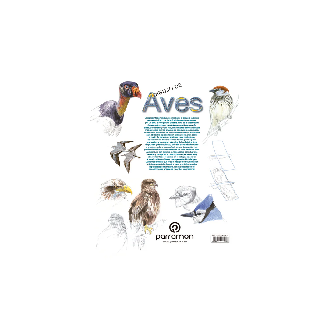 Dibujo de Aves