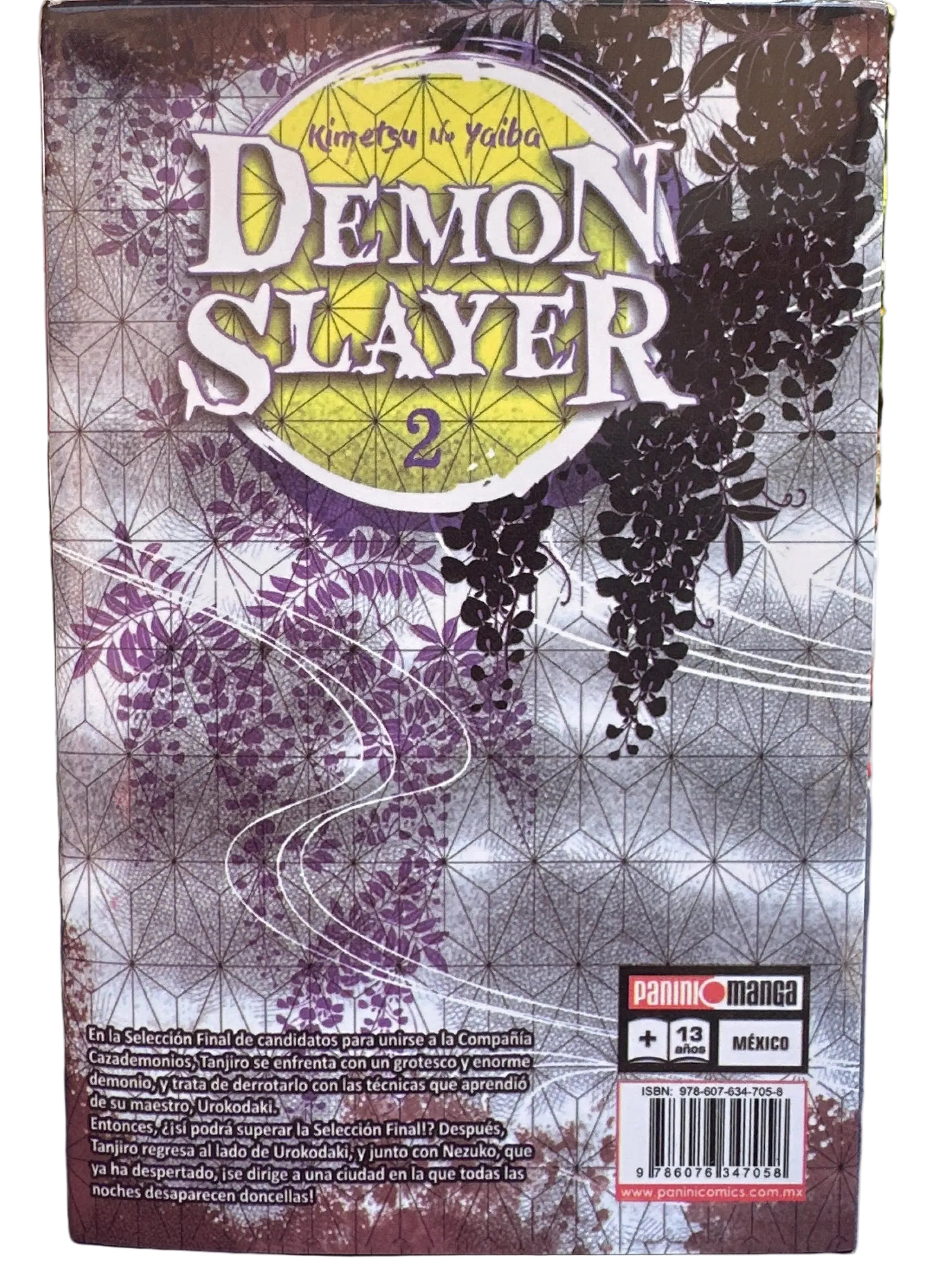 Demon Slayer vol. 2 Kimetsu No Yaiba
