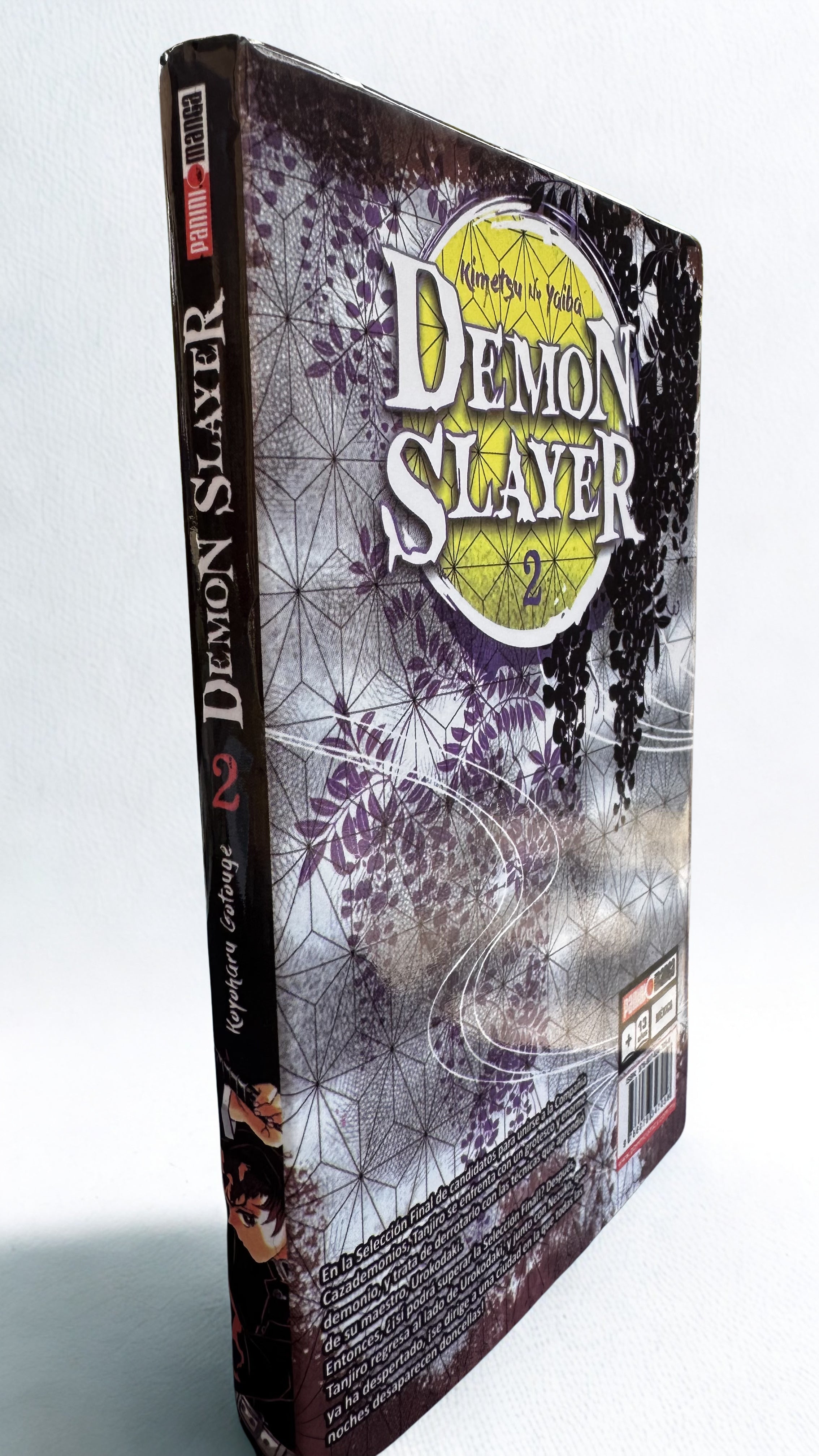 Demon Slayer vol. 2 Kimetsu No Yaiba