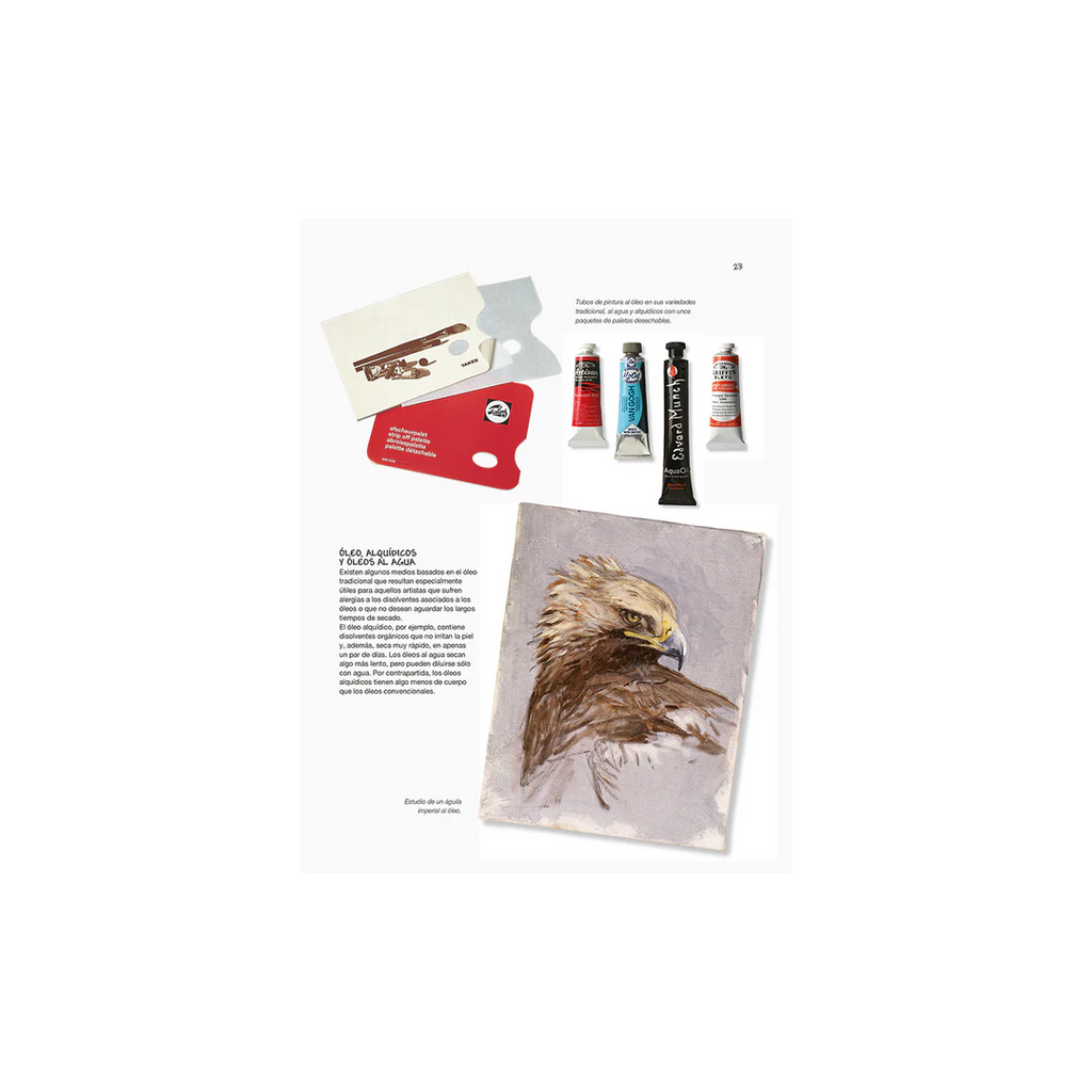 Dibujo de Aves