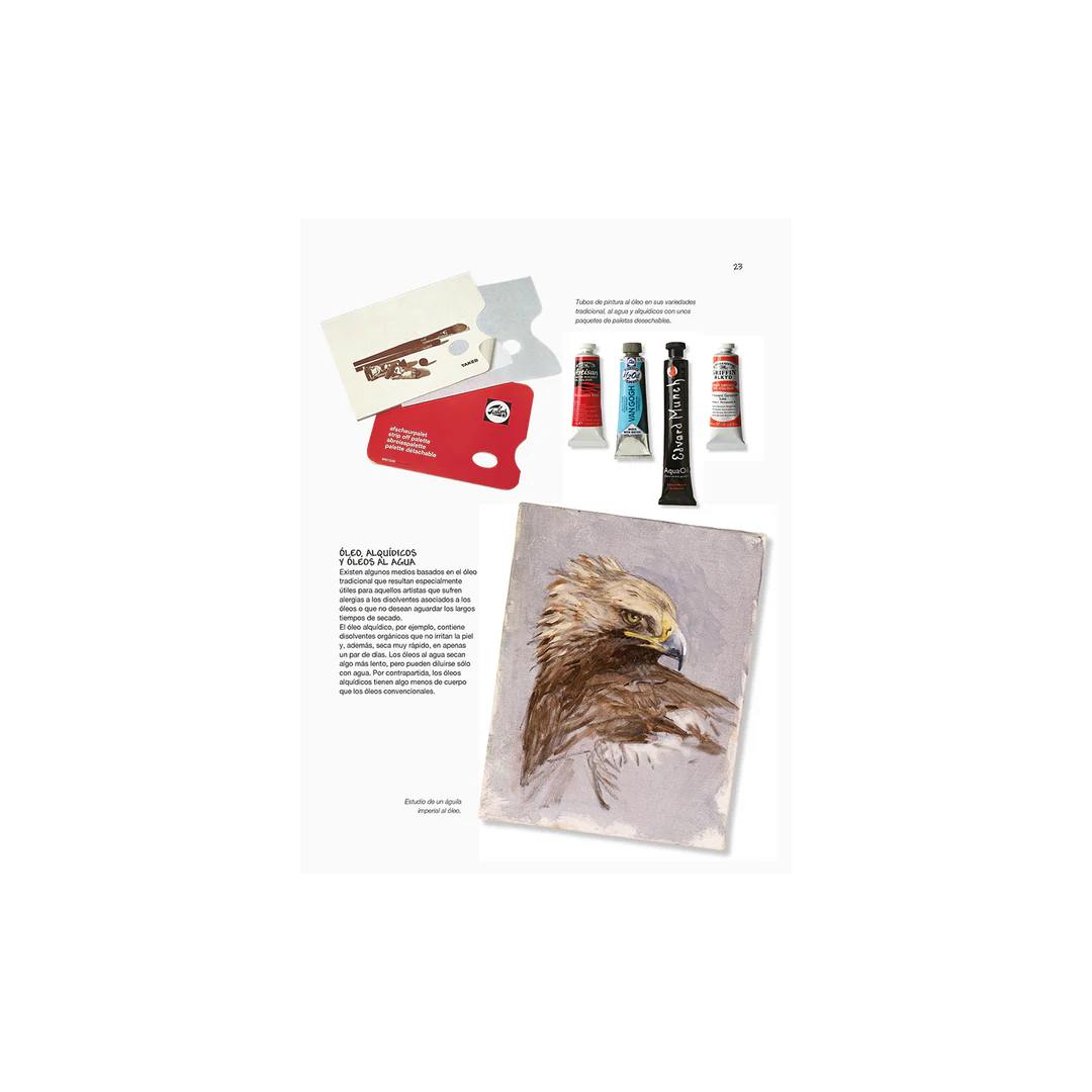 Dibujo de Aves