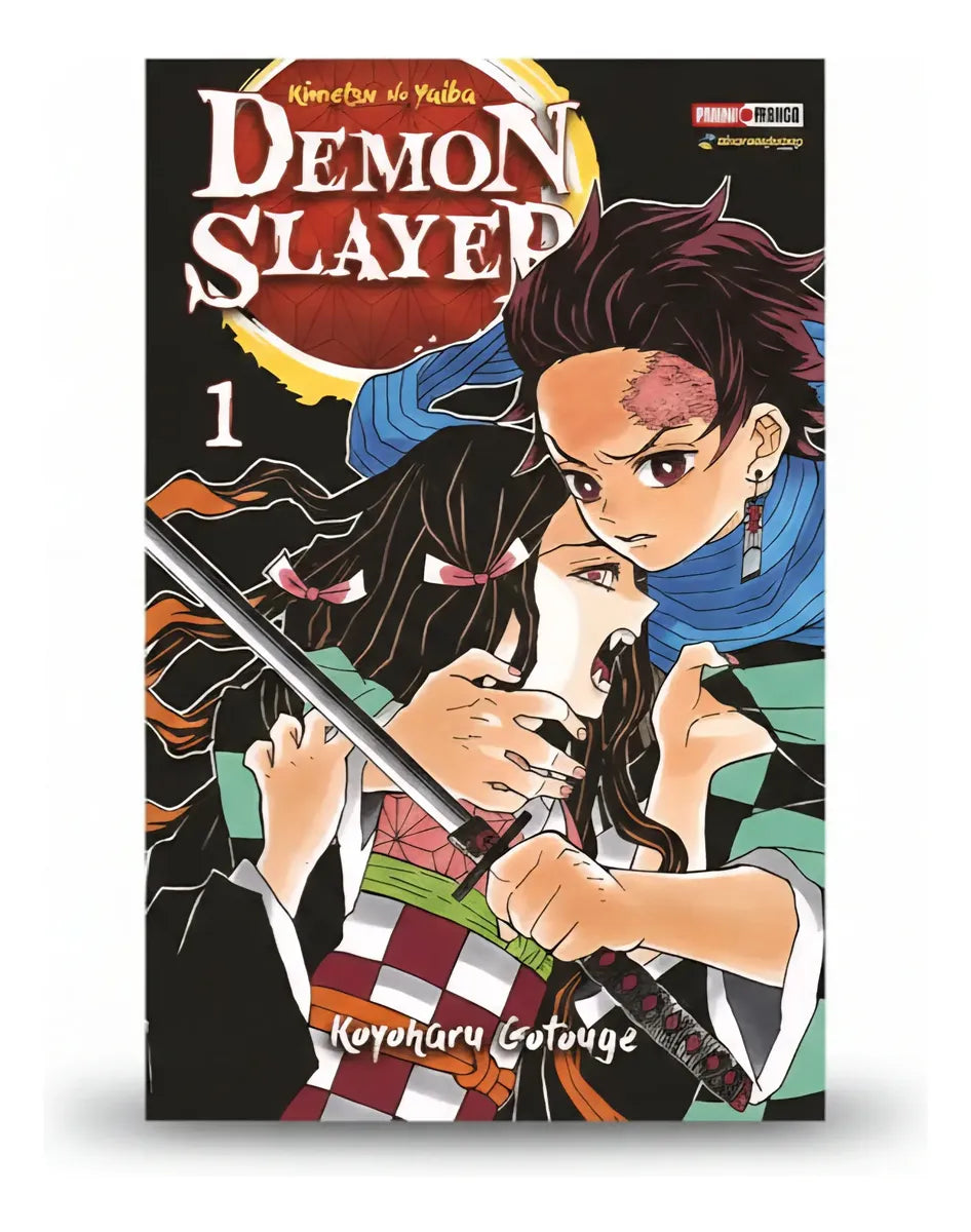 Demon Slayer vol. 1 Kimetsu No Yaiba